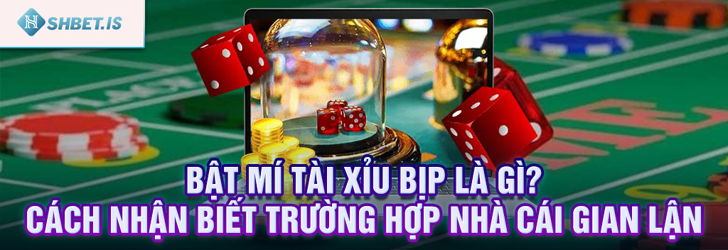 Bật mí tài xỉu bịp là gì? Cách nhận biết trường hợp nhà cái gian lận