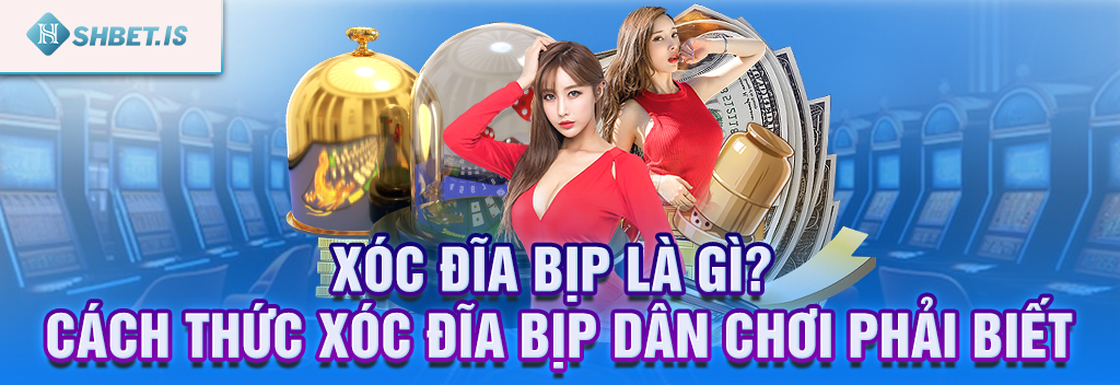 Xóc đĩa bịp là gì? Cách thức xóc đĩa bịp dân chơi phải biết